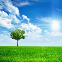 pizzamizza-pizzamizzaModPack icon