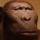 plucas-MonkePack icon