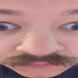 pp_poopoo-MSE_PP_mods icon