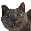 prout-PockyScrap icon