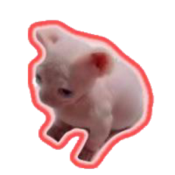 publicclassbonixextendsloser-BingusMod icon