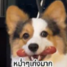 puihamyawmak-NoppoMum icon