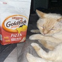 quinncat-QuinnModPack icon