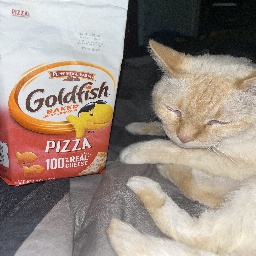 quinncat-QuinnModPack icon