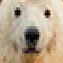 r1mkin-TheMostBrokenCompanyv2 icon