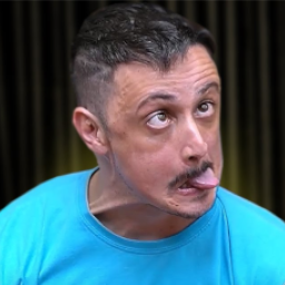 radzki-DileraHorn icon