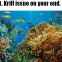 rag-for_the_great_assets icon