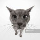 rakostar-aimassisttweaker icon