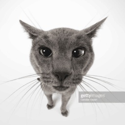 rakostar-aimassisttweaker icon