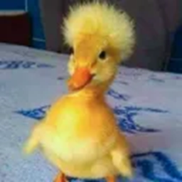 randomuserhi-StaminaDebug icon