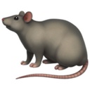 rat_gang-rat_music icon