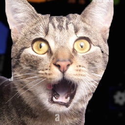 reallytoast-ToastyMixtape icon