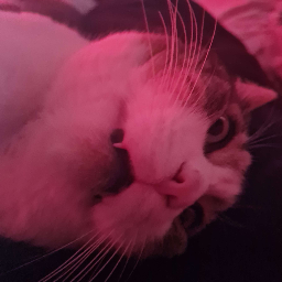 reio_cult-Free_RAM_no_hack icon