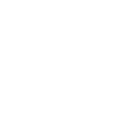 reisstest-tuttestmoon icon