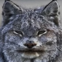 reyjik-nozomitest icon