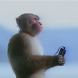 rndminc-RndmTunes icon