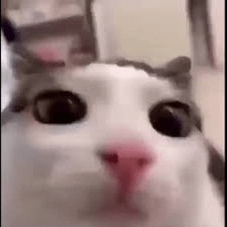 rogan-WeatherMultiplier icon