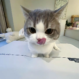 rotisserie_chicken-zacs_cruisertunes icon