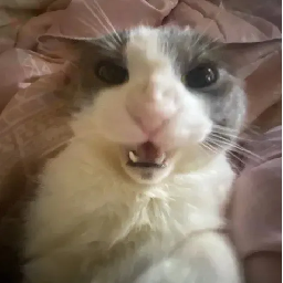 rotisserie_chicken-zacs_stupi_mod icon