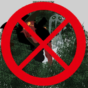 ryuka_labs-No_Forest_Ambush icon