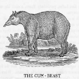 s5546-Saturday_Night_Flustercluck_Pack icon