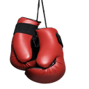 salaciousping-styru icon