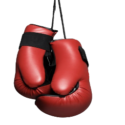 salaciousping-styru icon