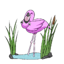 salcin-Salcins_Skins icon