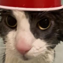 saltyquince-the_ITEM_the_g icon