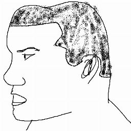 sanp-AlphaCompany icon