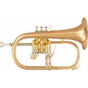 sau6son-bugle_musics icon