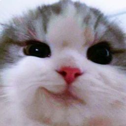 saxumi-goobers_pack icon