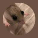 seriouslydude-sdudepacks icon