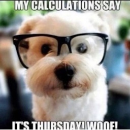 shizz-hahahahaha icon