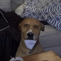 shligls-The_shligls_Experience icon