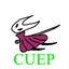 shownyoung-CUEP-0.5.2 icon