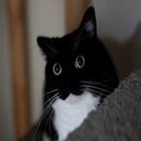 slayer6409-BaxterPaintings icon