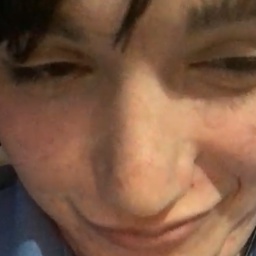 smelvins-TestMod icon