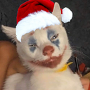 smikiii-smiksTape icon