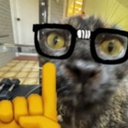 smoochies-My_cats_on_Posters icon