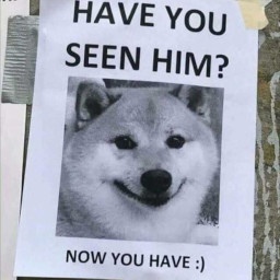 snorkel_squad-Norrick_Birthday_Modpack icon