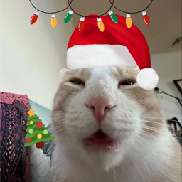 snow_y-snows_modpack_for_friends icon