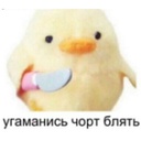 solyanka-instasamka_popstar icon