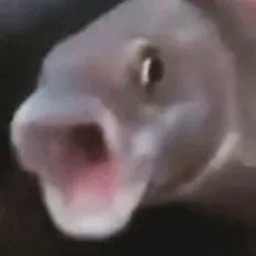 soul_natsume-naruko_te_odio_modpack icon