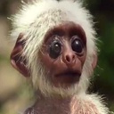 soyZegio-ModPackPanicroom icon