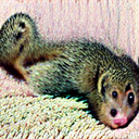 spungle-bezos_bois icon