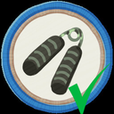 stedee-EnduranceBadgeFix icon