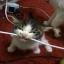 stefana-Stefs_mid_modpack icon