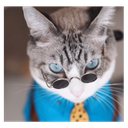 taxables-TapingCompany icon