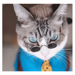 taxables-TapingCompany icon